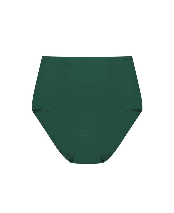 Natori Bliss Bare Pima Cotton High Waist Brief - Art of Intimates