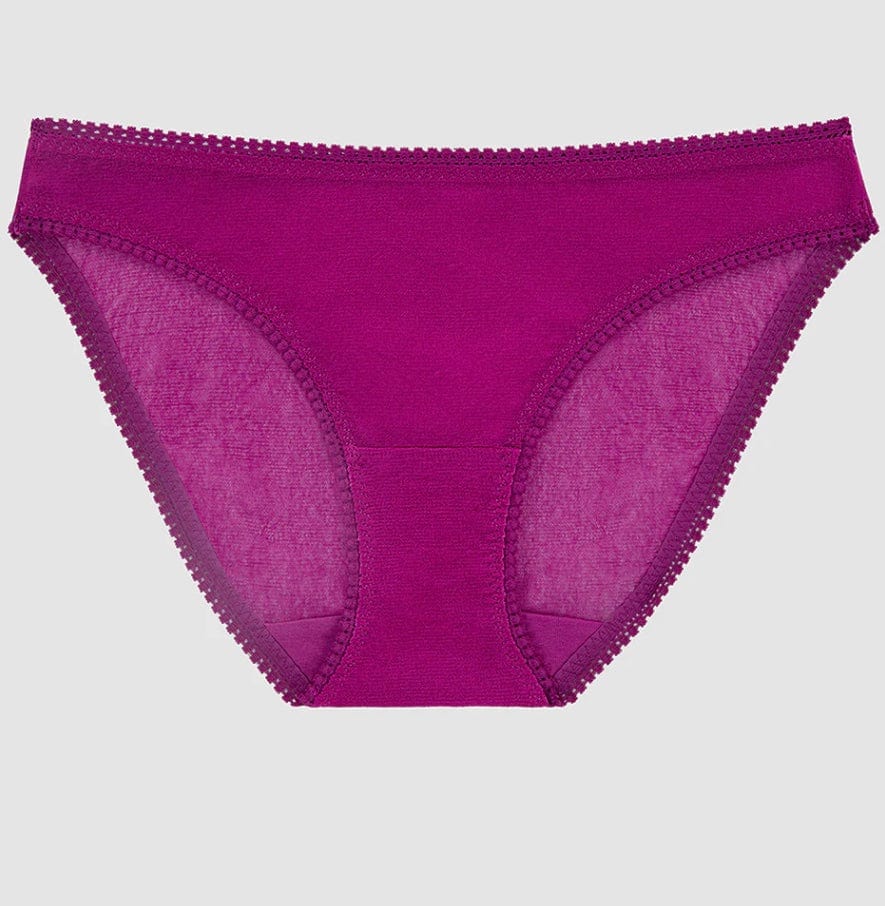 On Gossamer Briefs On Gossamer Mesh Hip Bikini